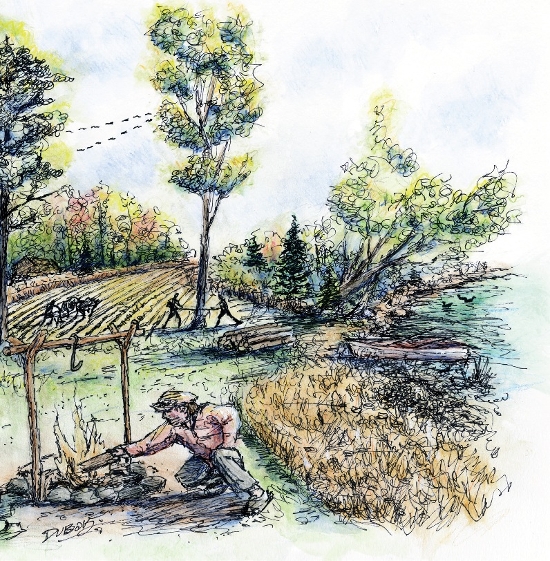 Arrivée des premiers colons